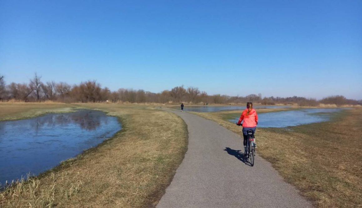 Best Bike Cycling Paths in Bratislava