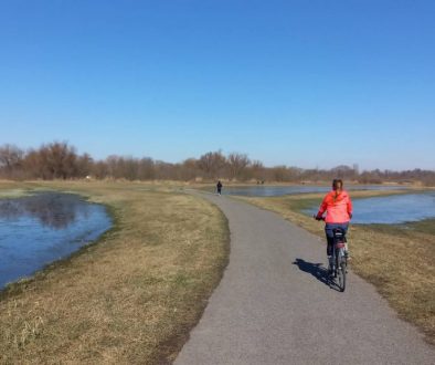 Best Bike Cycling Paths in Bratislava