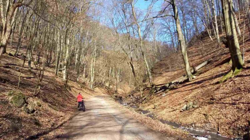 Cycling in Bratislava Little Carpathians